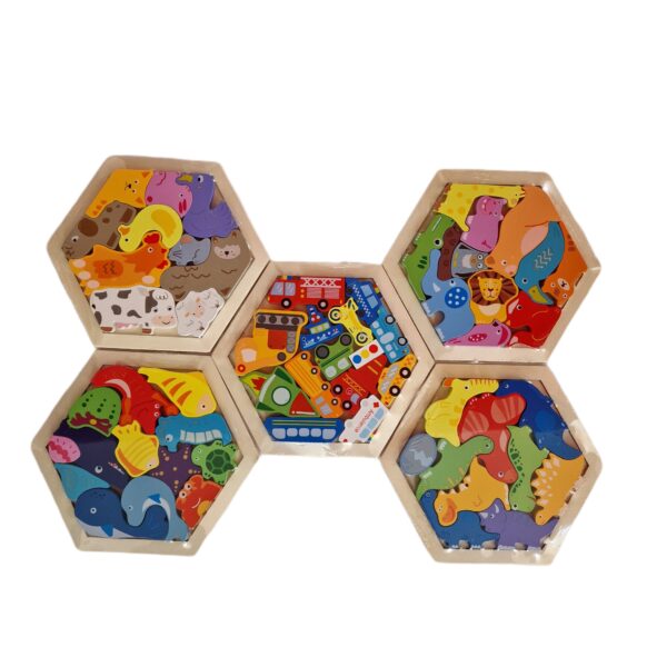 Puzzle lemn hexagonal 5/set mixt