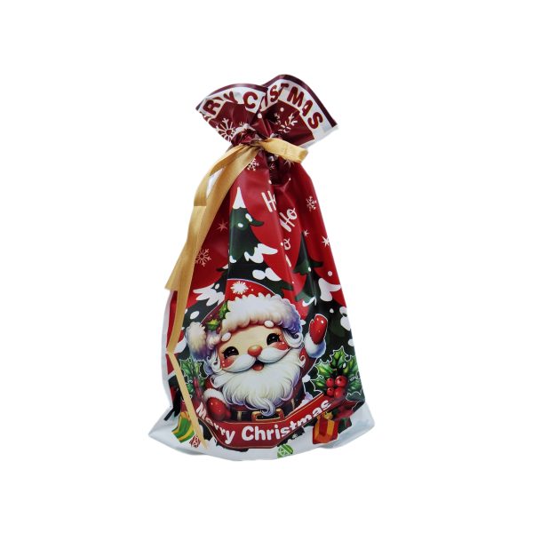 Pungi biodegradabile cu tematică de Crăciun 50/SET